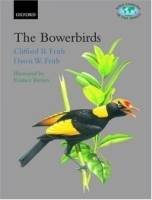 The Bowerbirds : Ptilonorhynchidae (Bird Families of the World) артикул 11663b.