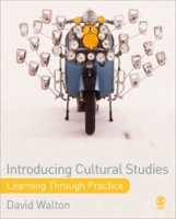 Introducing Cultural Studies: Learning through Practice артикул 11730b.