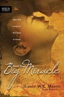 Small Town, Big Miracle: How Love Came to the Least of These артикул 11779b.